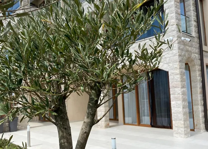 Villas Trend-Kuljace Village1-2 Budva acceptant les animaux