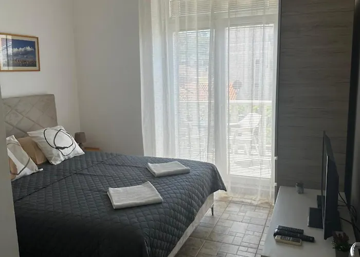 Apartments Fillip Petrovac acceptant les animaux