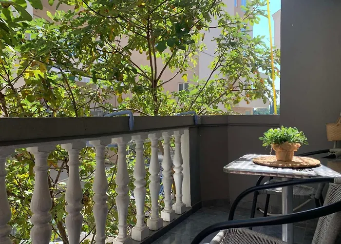 Apartmani Moko Budva acceptant les animaux