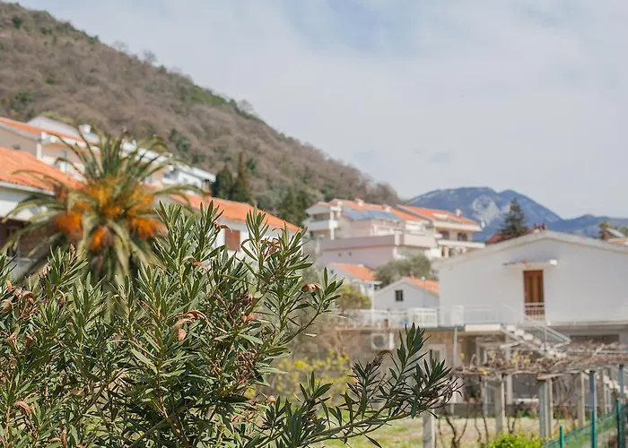 Pet friendly Apartments Harmony Petrovac