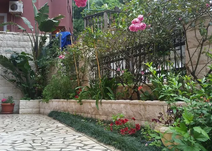 Pet friendly Apartments Zvicer - Milica Budva