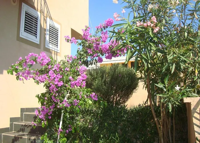 Apartments Mila Krimovica