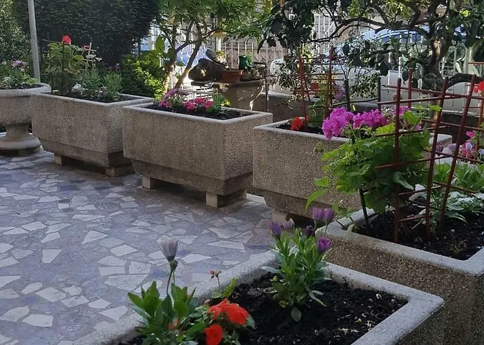 Pet friendly Guest House Ckuljevic Budva