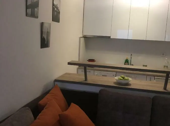 Comfort Studio Perla Budua che accetta animali