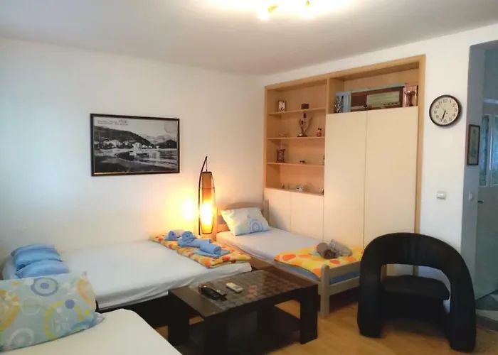 Pet friendly Apartmani Jovanovic Petrovac
